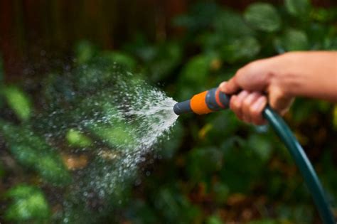 hosepipe ban crawley|Hosepipe ban in Crawley and Gatwick not yet。